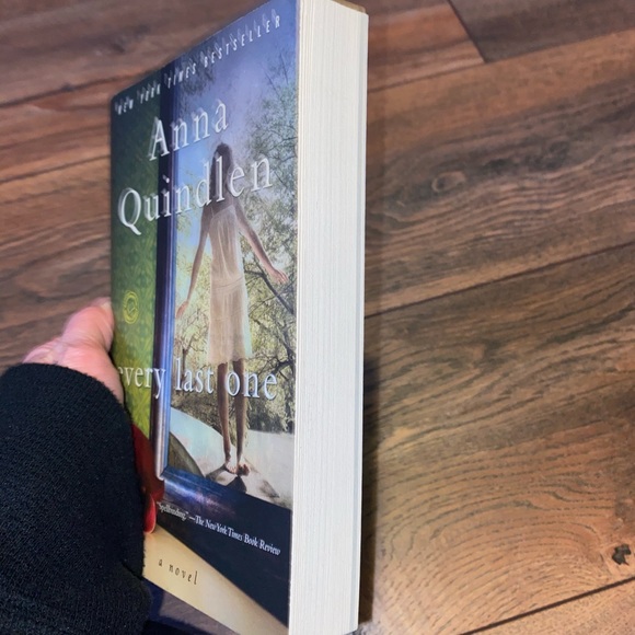 ✨3/$15✨Every Last One by Anna Quindlen (a novel) - Picture 3 of 4